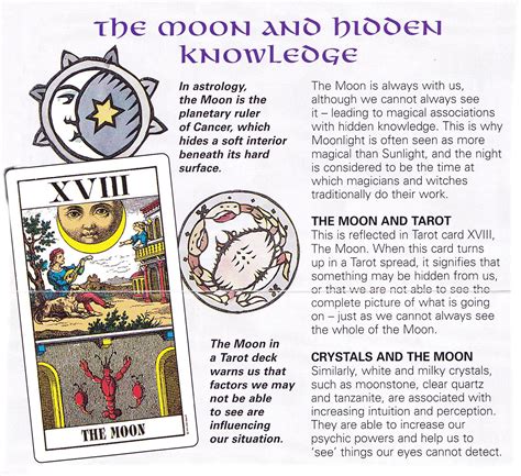 The Wiccan Bible: Exploring the Wheel of the Year and Seasonal Festivals